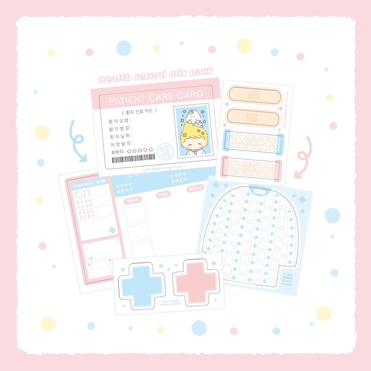 [LT45] DISCOUNT DESK Lita Planet Health Record Memo Sticker Pack